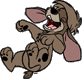 Pooka