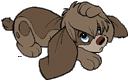 Pooka