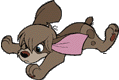 Pooka