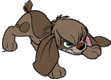 Pooka