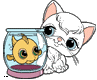 Kitten, Fish