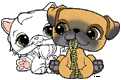 Puppy, Kitten