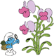 Brainy, Kissing Plant