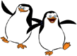 Penguins